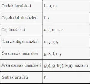 Oluşum Noktalarına Göre Ünsüzler